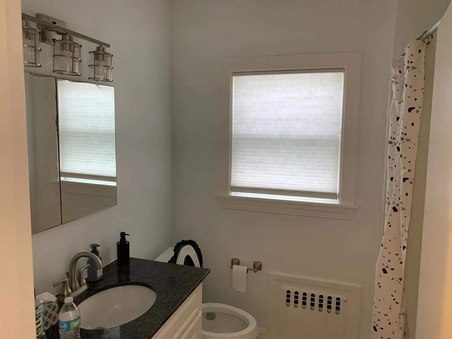 A bathroom vanity with a mirror, patterned shower curtain and a window